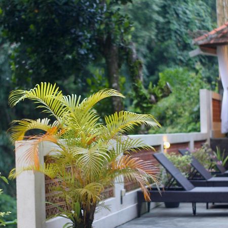 Hanaka Riverside Ubud Exterior foto