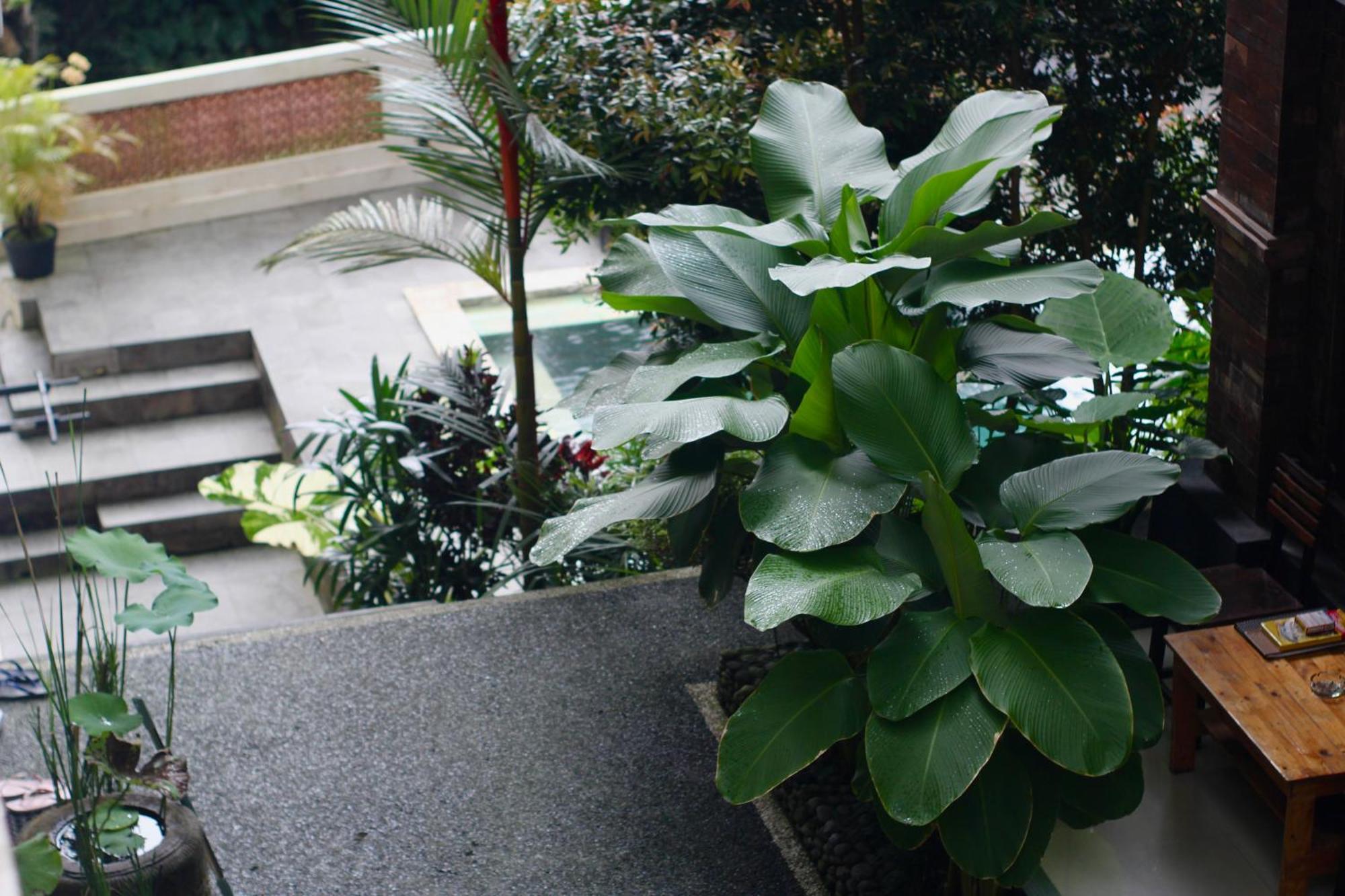 Hanaka Riverside Ubud Exterior foto
