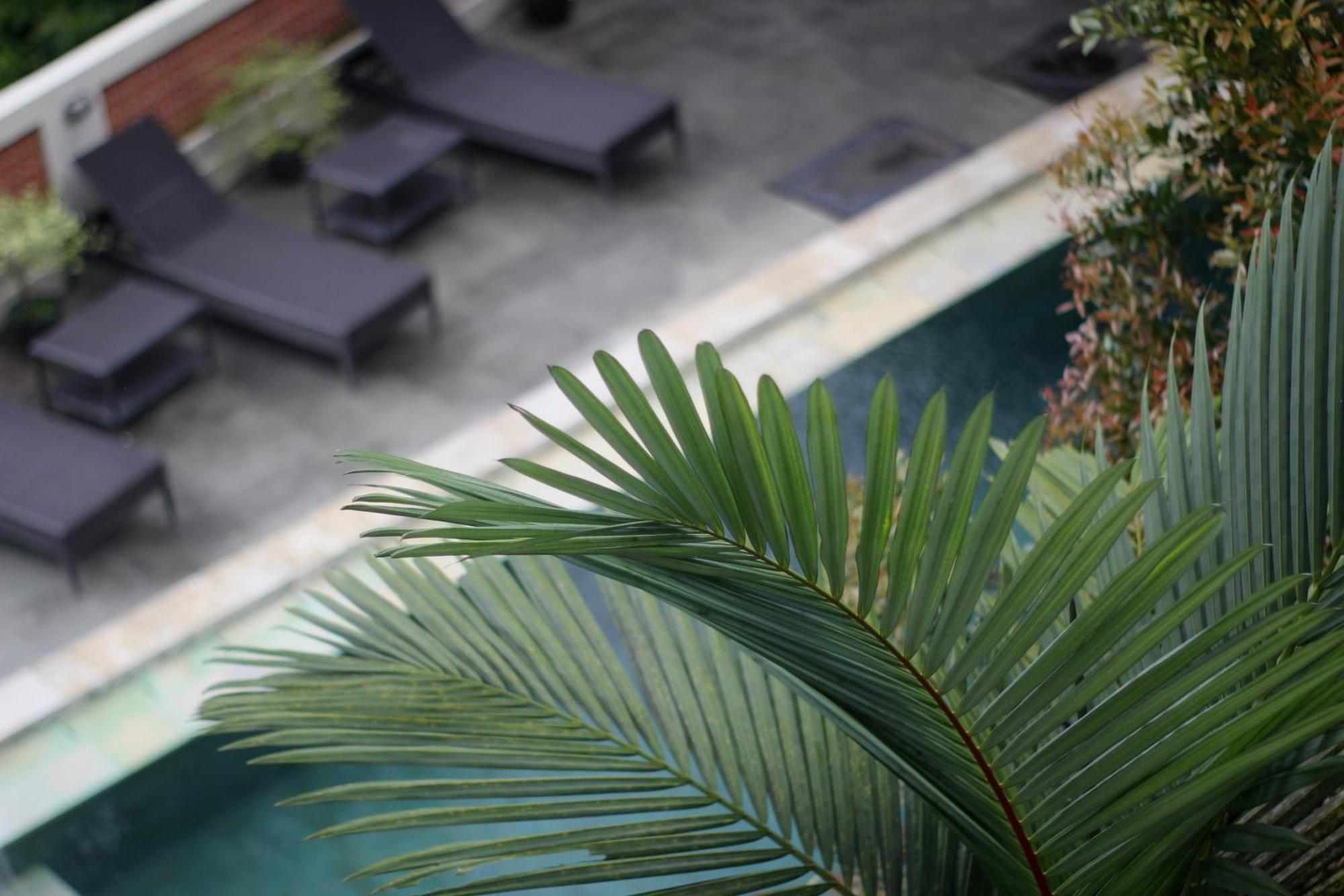 Hanaka Riverside Ubud Exterior foto